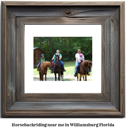 horseback riding near me in Williamsburg, Florida